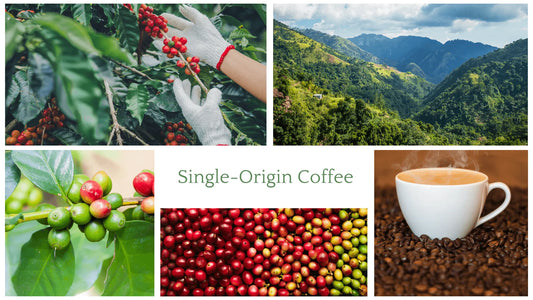 Understanding Single-Origin Coffee: What Makes It Special?